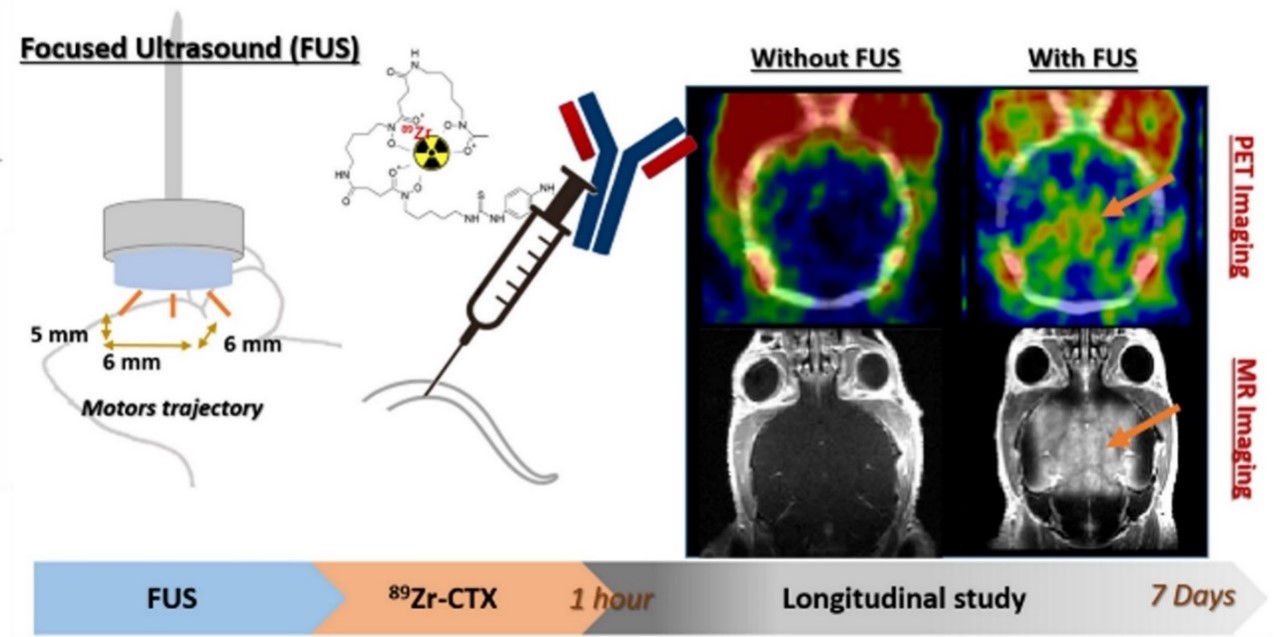 Controlled-delivery-of-mAb